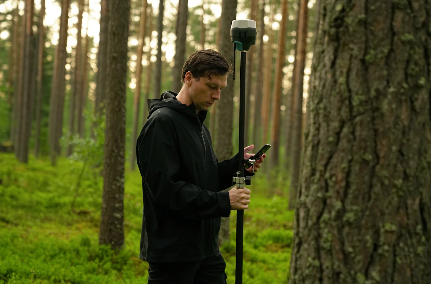 A surveyor checking a positioning instrument in woodland